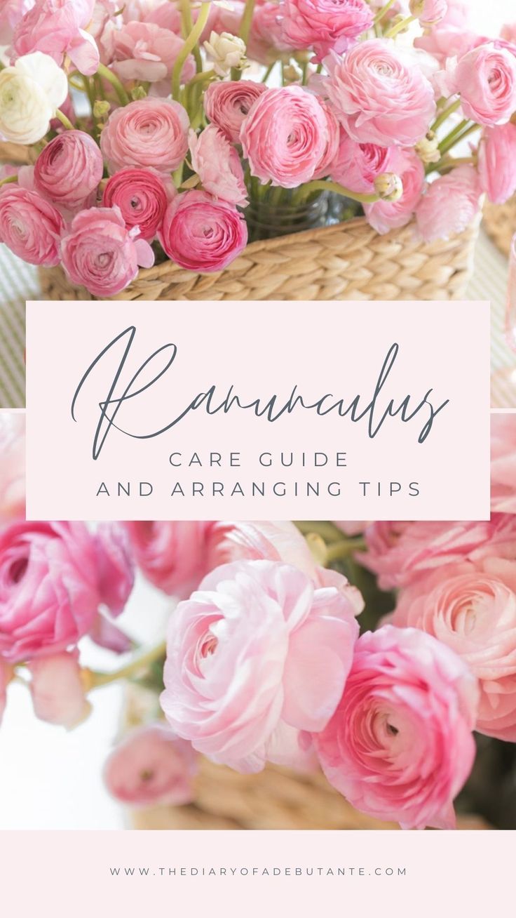 pink flowers in a basket with the words, runaways care guide and arranging tips