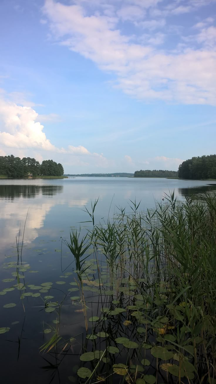 the water is still calm and clear for us to see in this photo, but it's not far away from the shore