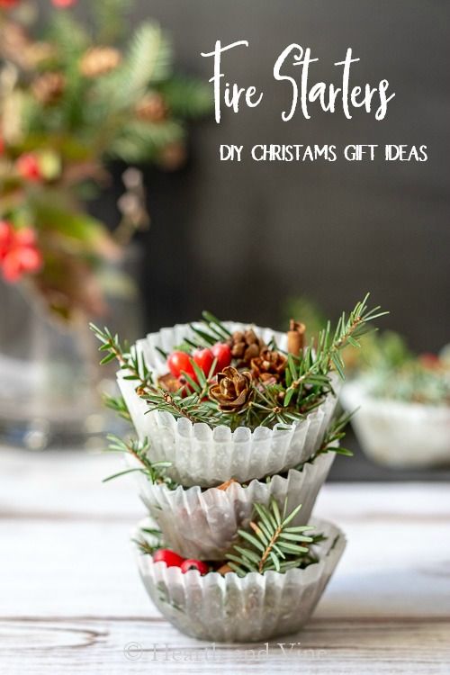 three cups filled with pine cones on top of a table