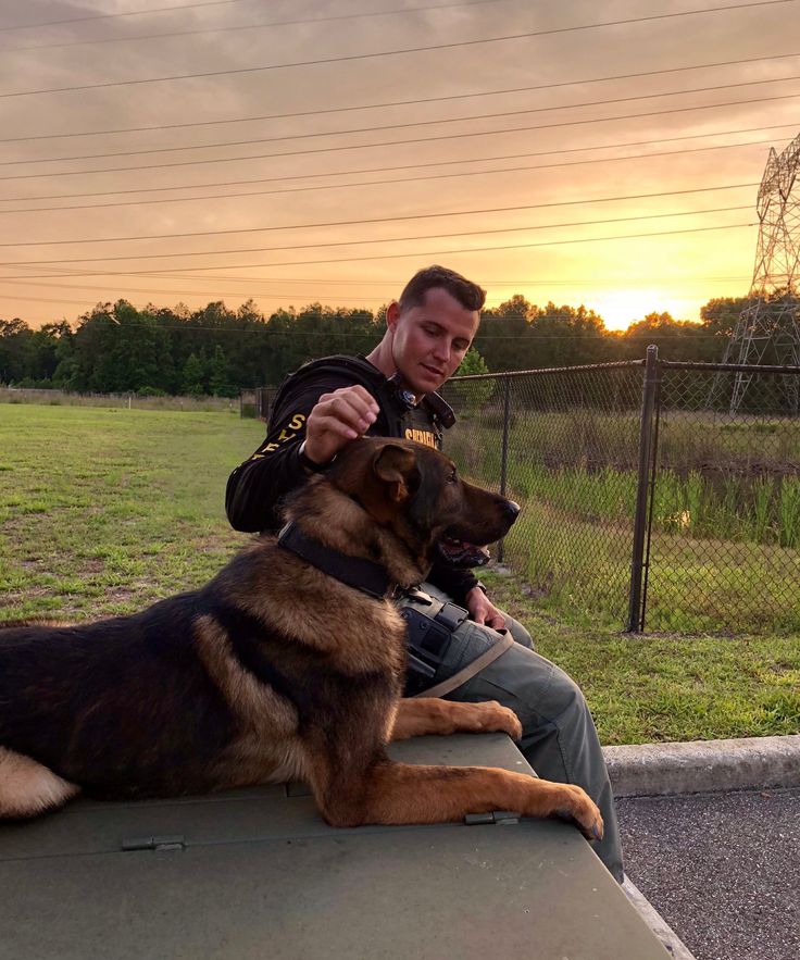 a man sitting on top of a car next to a large brown and black dog