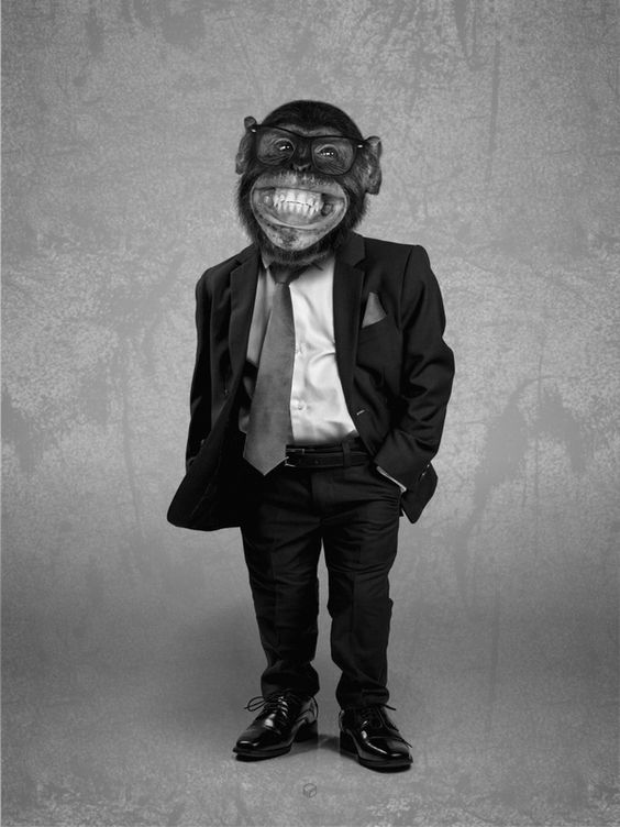 a man in a suit and tie wearing a monkey mask