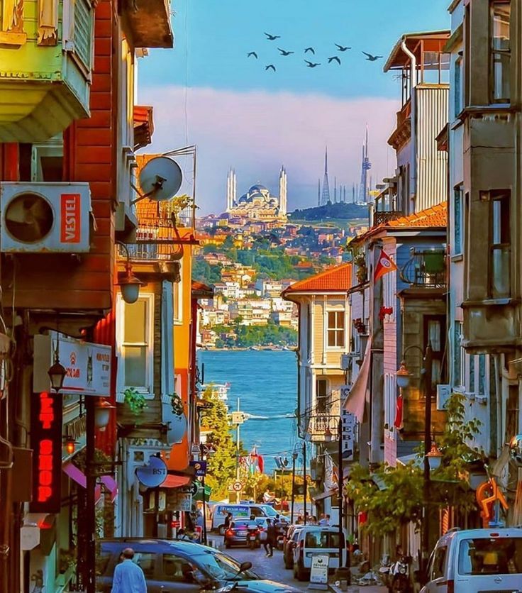 a city street filled with lots of traffic next to tall buildings and seagulls flying over the water