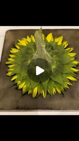 a sunflower with green leaves and yellow petals is shown in the center of this video