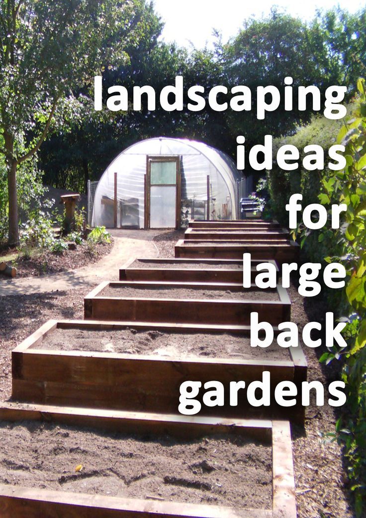 Raised beds with a polytunnel