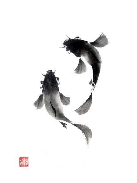 two black and white koi fish swimming in the water