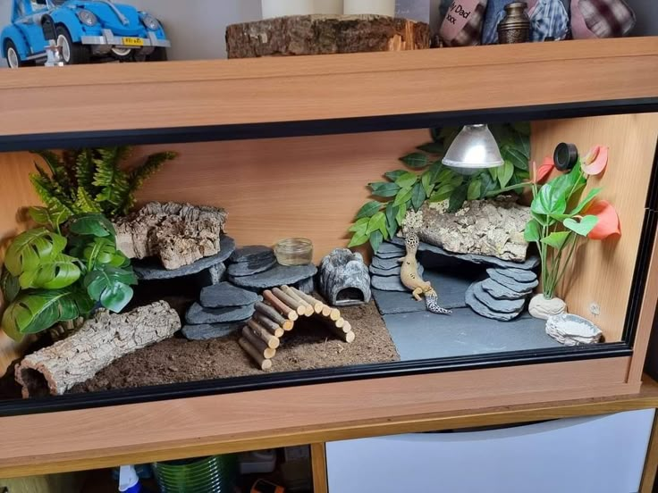 an aquarium filled with rocks and plants on top of a wooden shelf next to a lamp