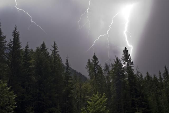 the sky is filled with lightning and it appears to be overcast, but there are trees in the foreground