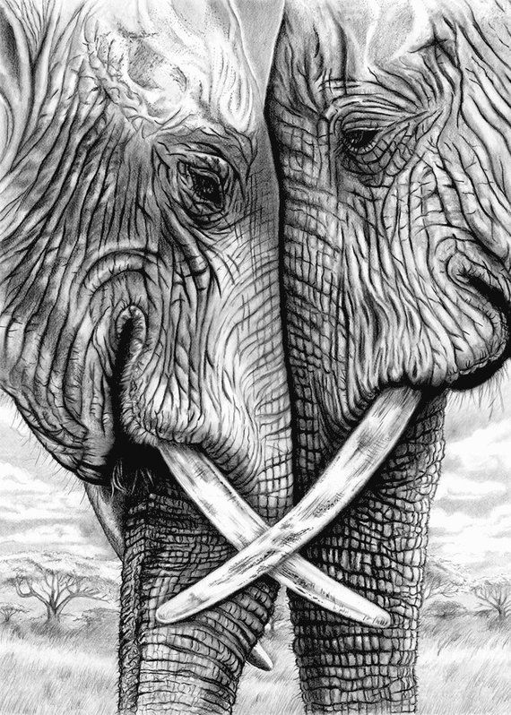 an elephant with two swords in its trunk