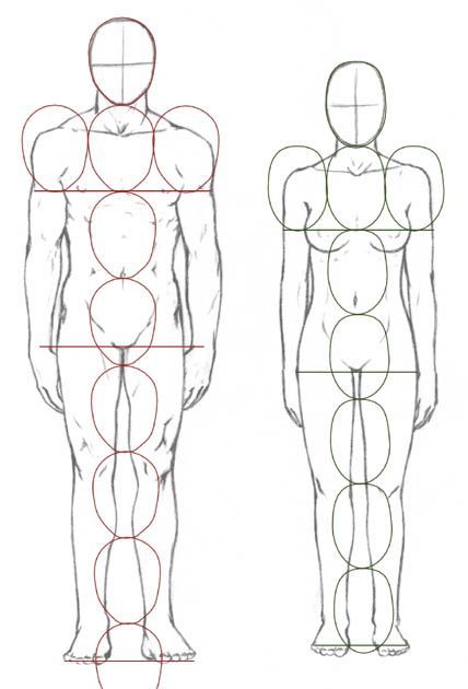 an image of a man's body with six circles in the shape of it