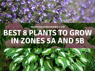 the best plants to grow in zones 5 and 6b