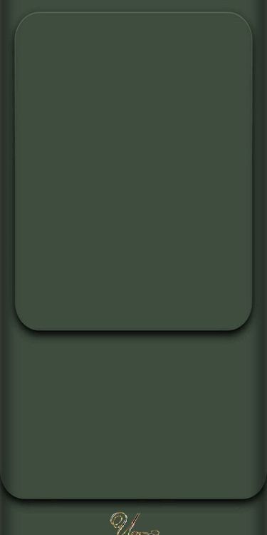 the back side of a dark green phone case