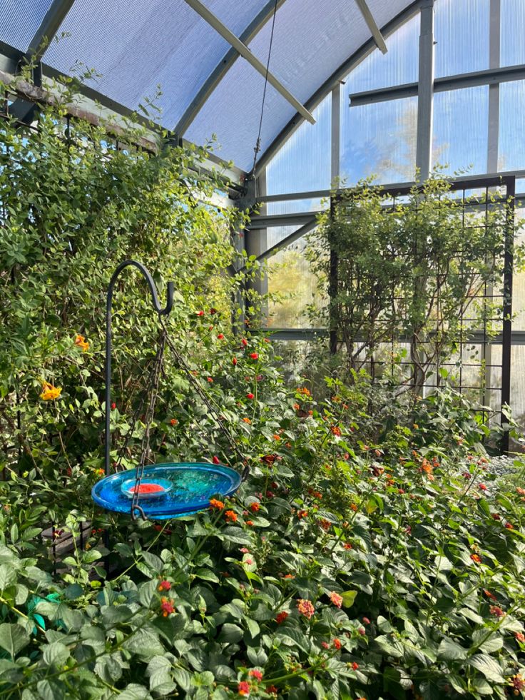 a blue bird bath sitting in the middle of a garden filled with lots of plants