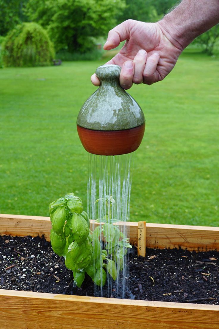 a person is pouring water into a planter filled with lettuce and tomatoes