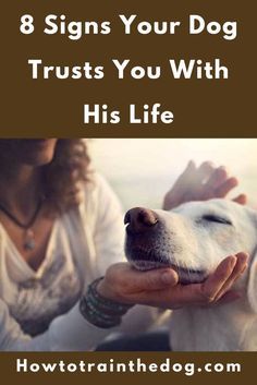 a woman petting a white dog with the words 8 signs your dog trusts you with his life