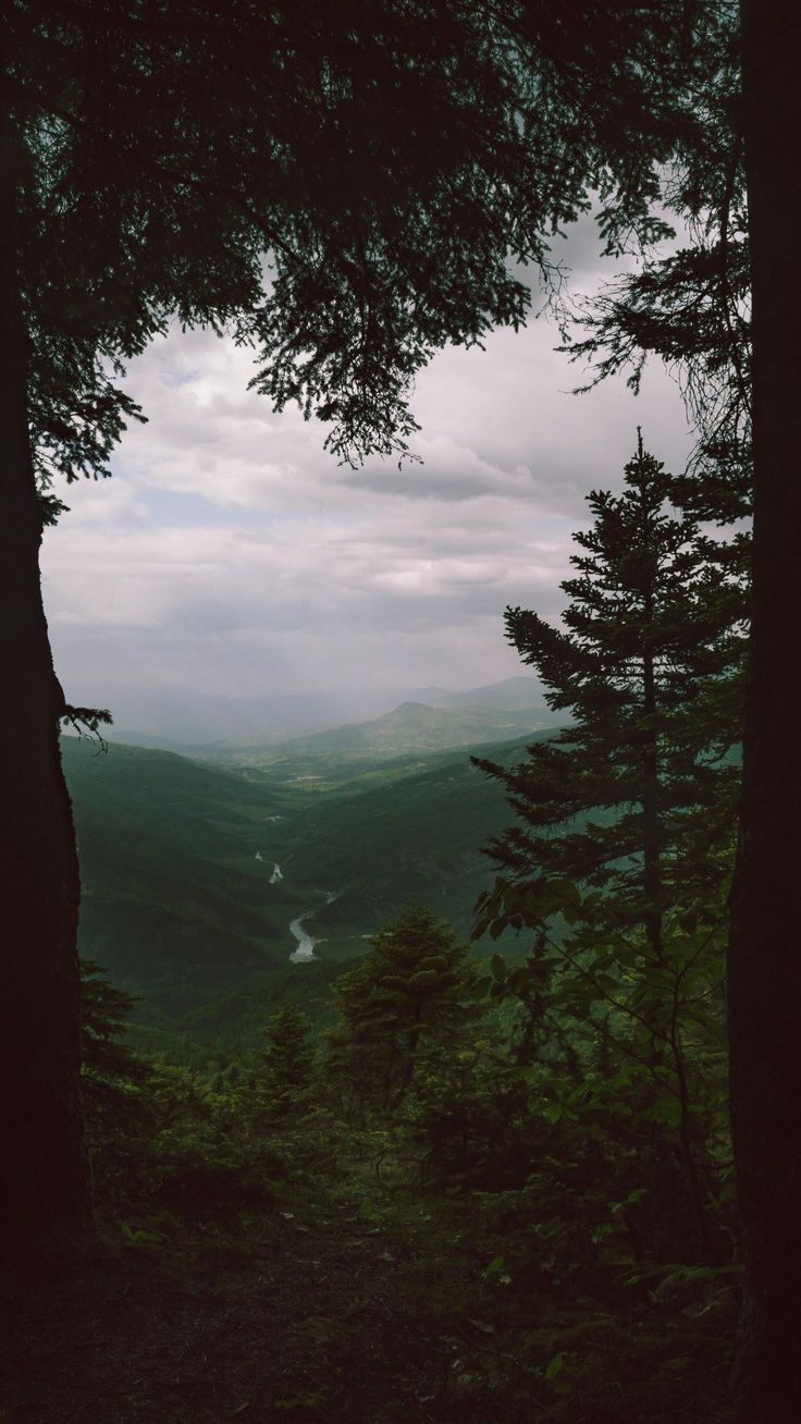 a view from the top of a hill with trees