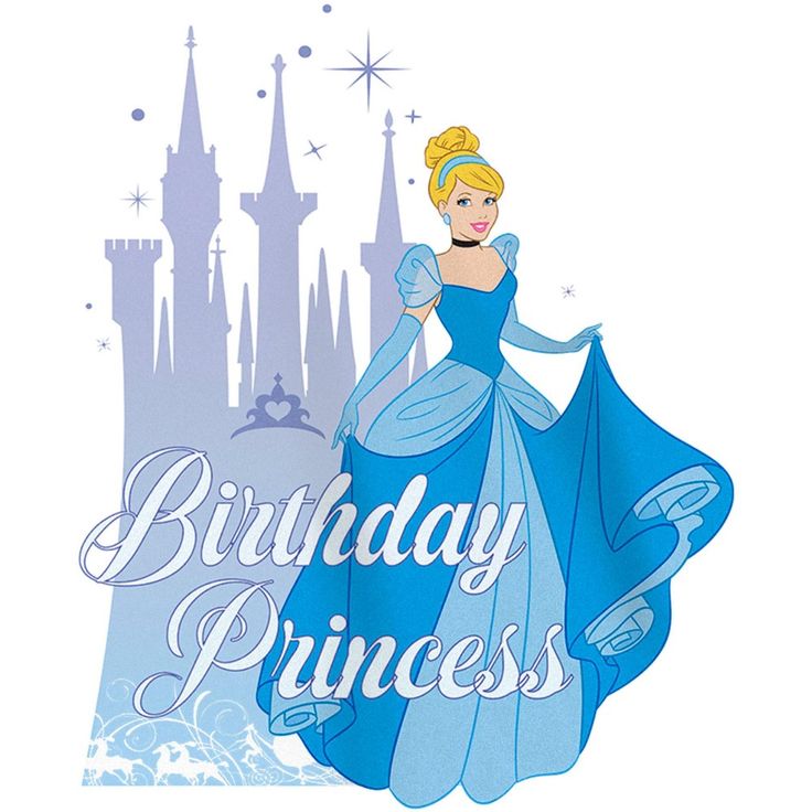 a princess in front of a castle with the words birthday princess on it's back