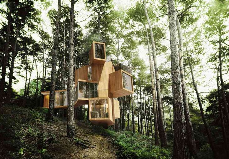 a house built into the side of a hill surrounded by trees in the middle of a forest