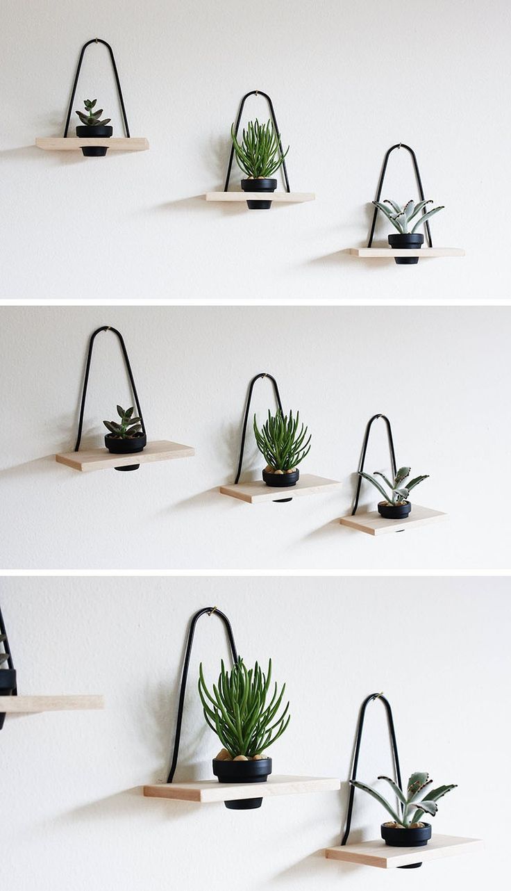 three shelves with plants on them and hanging from the wall