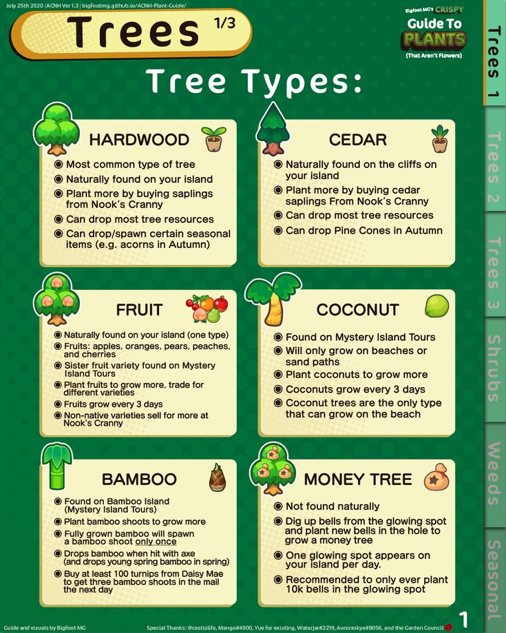 the tree types poster is shown with instructions for each type of tree, including fruit and vegetables