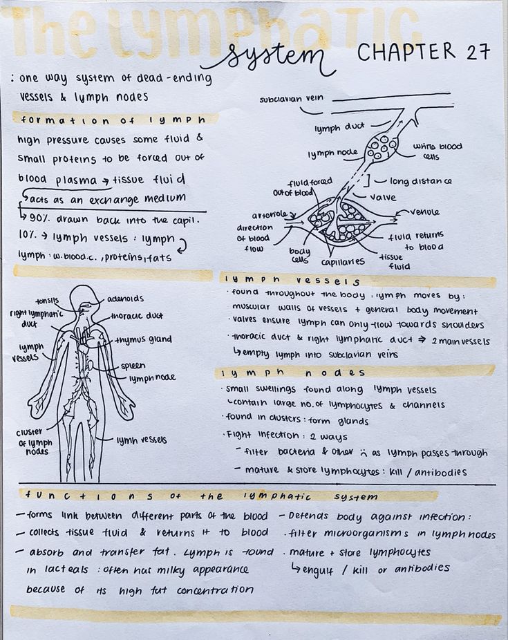 a piece of paper with some writing on it that says system chapter 2 1 and the diagram below