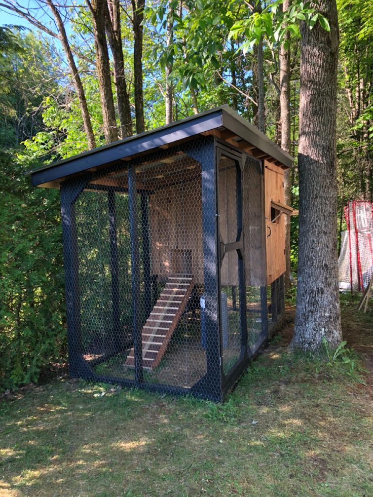 a chicken coop in the woods with stairs leading up to it