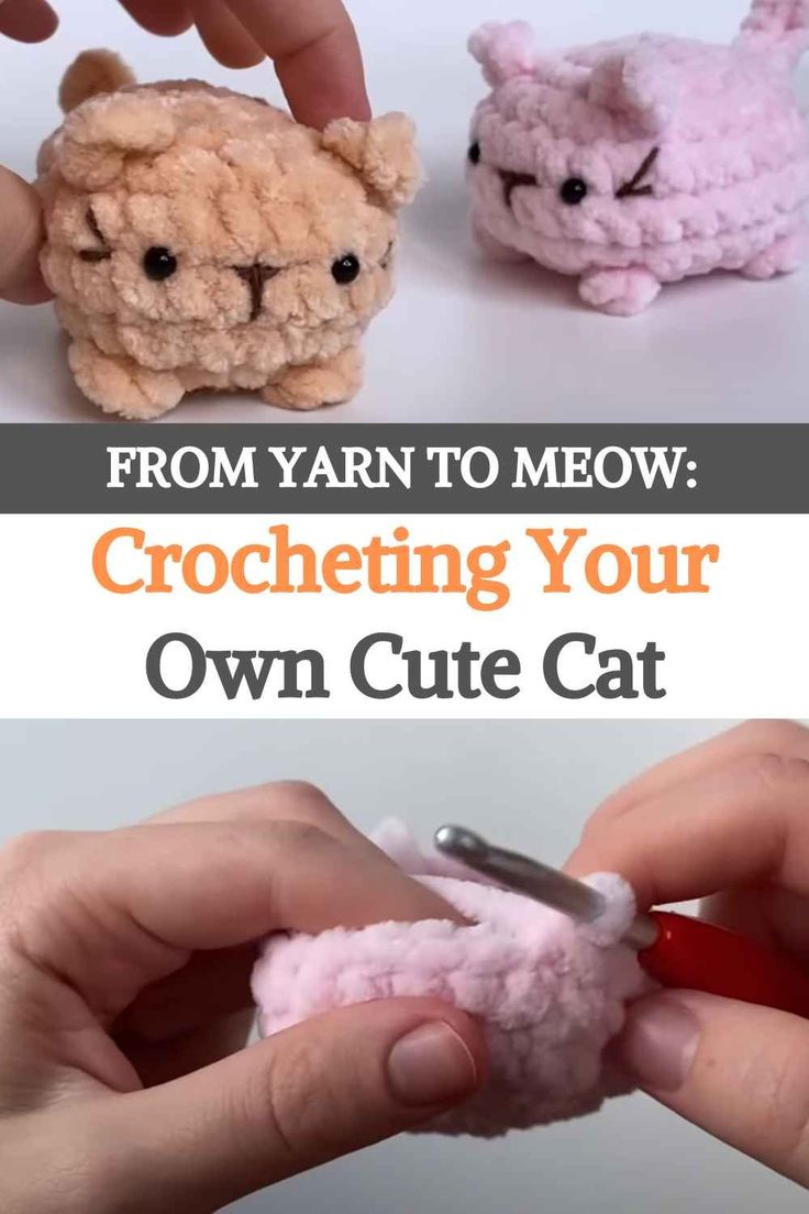 someone is crocheting their own cute cat toy with yarn and scissors to make it look like they're from yarn to meow