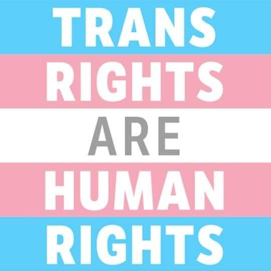 the words transs rights are human rights on blue and pink stripes with white letters