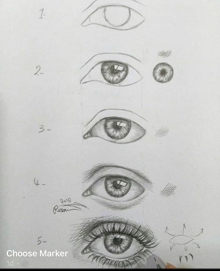 an image of different types of eyes drawn by someone's pencil drawing class at the school