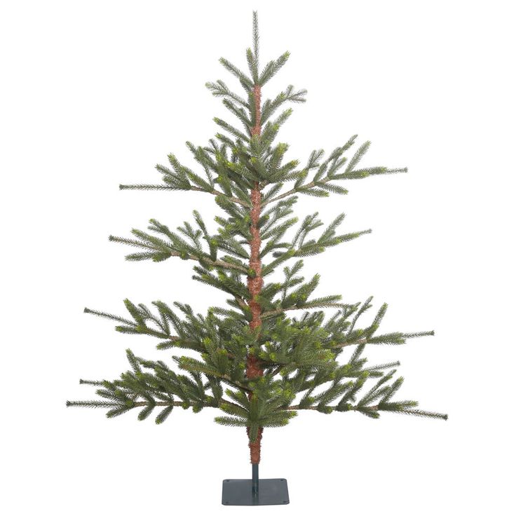 a small pine tree is shown on a white background