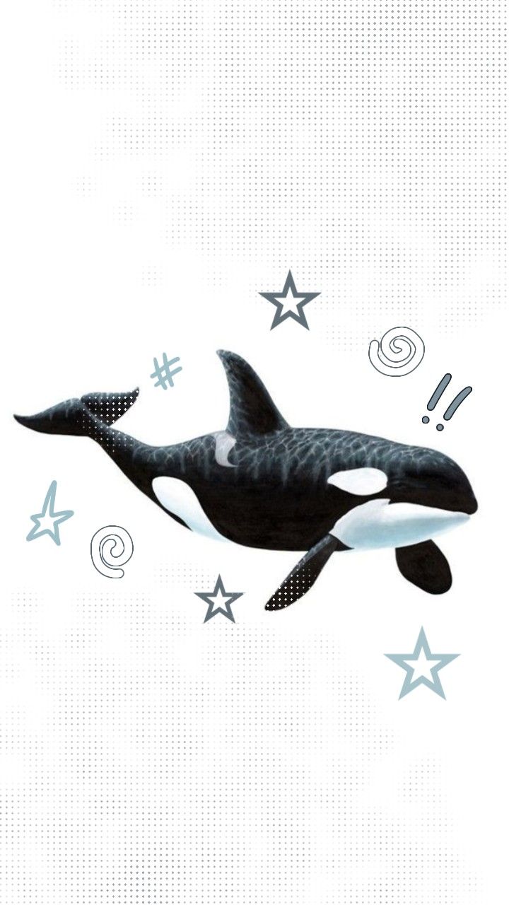 an orca whale is floating in the air with stars around its neck and tail