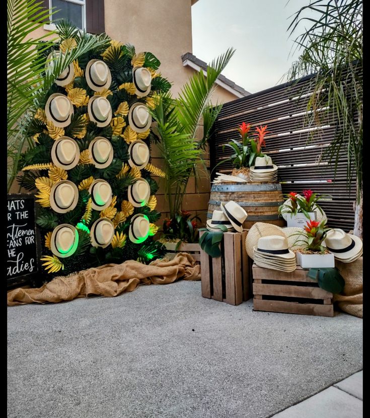 there are many hats that are on display outside the house and in front of the tree