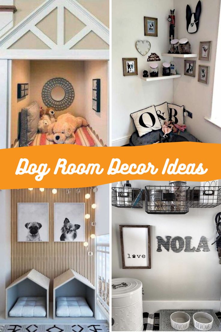 four different pictures with the words dog room decor ideas