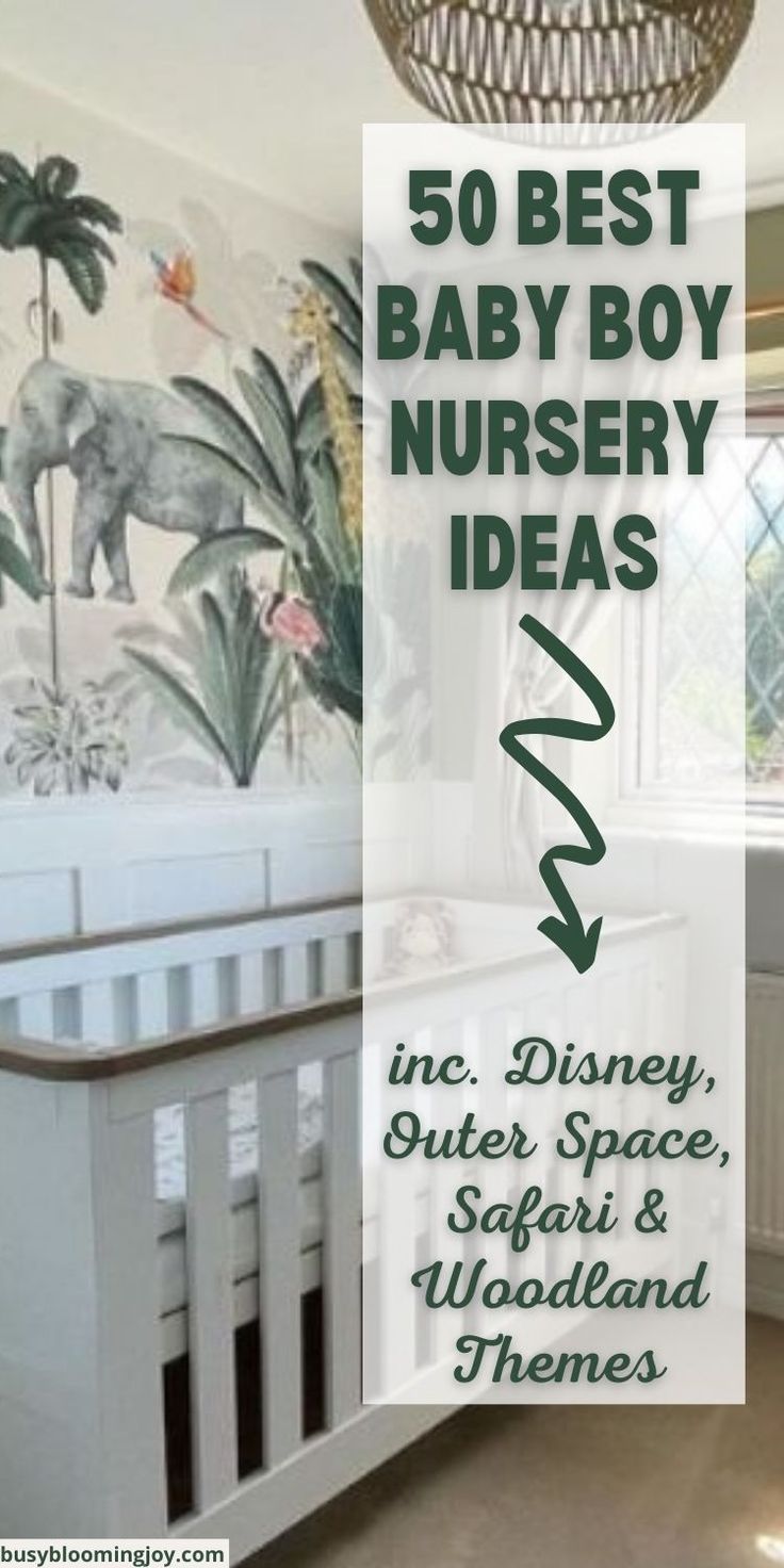 there is a baby boy nursery room with murals on the wall and in the crib