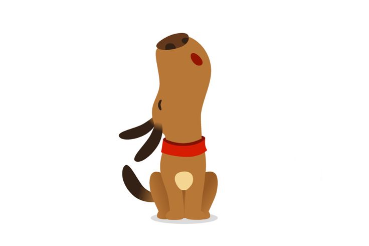 a brown dog with a red collar sitting on the ground and looking up at something