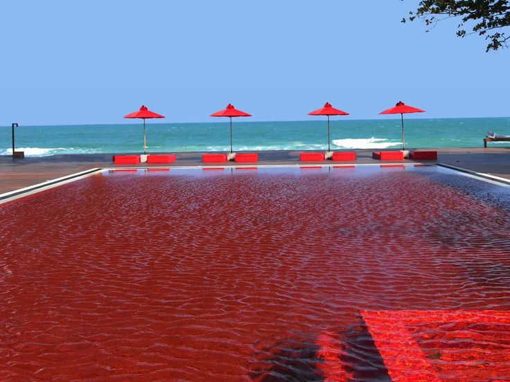 an empty swimming pool with red chairs and umbrellas on the beach near the ocean