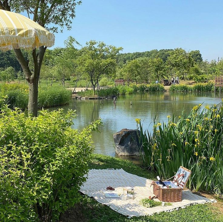 there is a picnic on the grass by the water