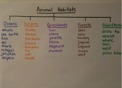 an animal habitat chart on a whiteboard with words written in different colors and sizes