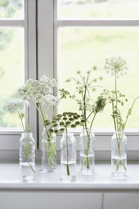 several vases filled with flowers sitting on a window sill