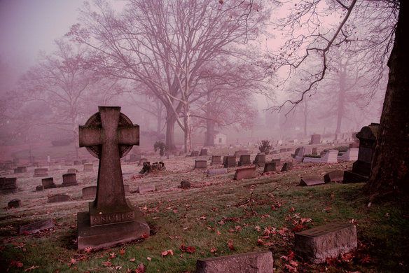 an old cemetery with tombstones and trees in the fog