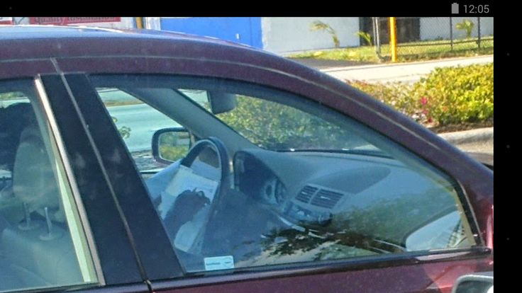 a dog sitting in the driver's seat of a car with its head out the window