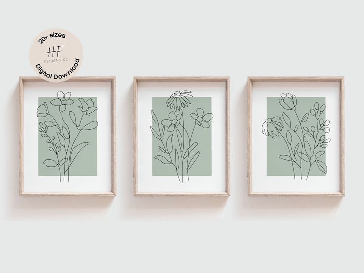 three framed flowers are hanging on the wall