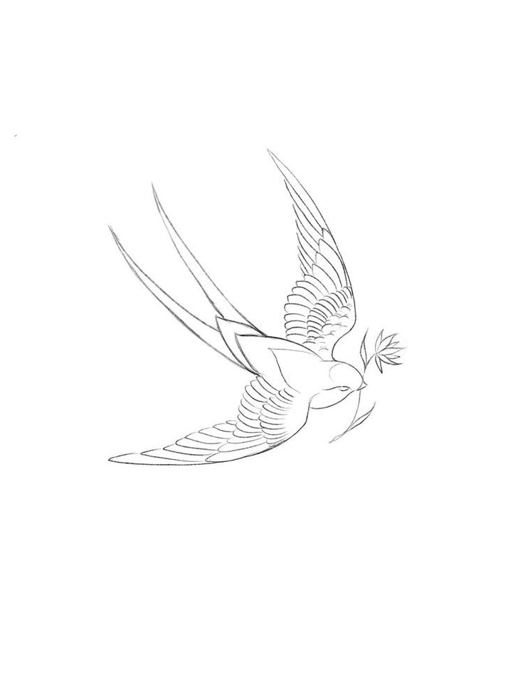 a drawing of a bird flying in the sky