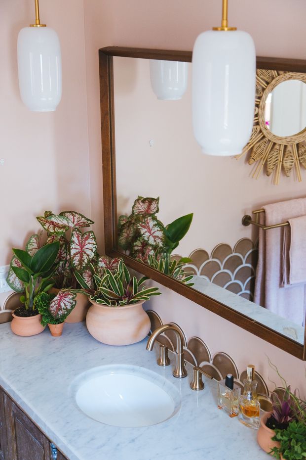 a bathroom sink with plants on the counter and a mirror above it, in front of a pink wall