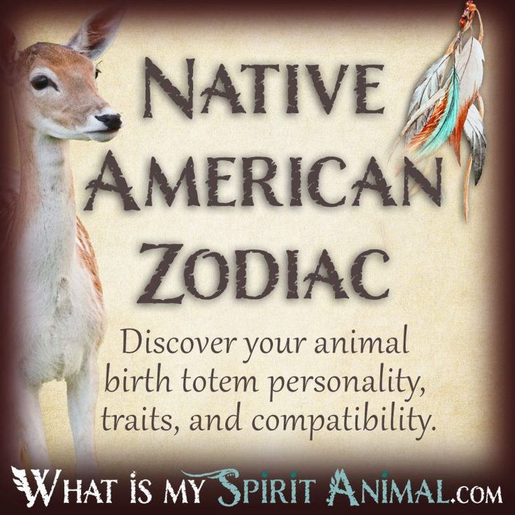 an animal with the words native american zodiac on it