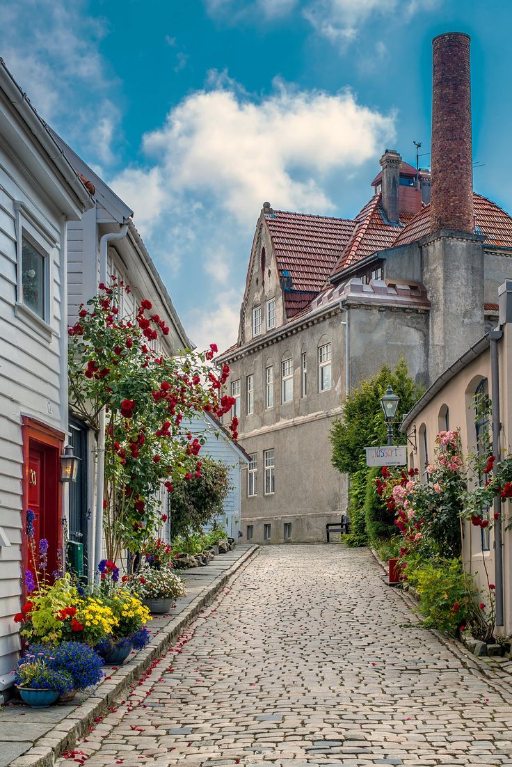 a cobblestone street with flowers on both sides and buildings in the back ground