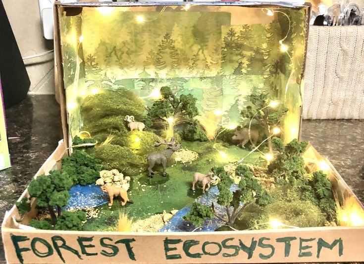 an open box filled with lots of fake animals and trees on top of a table