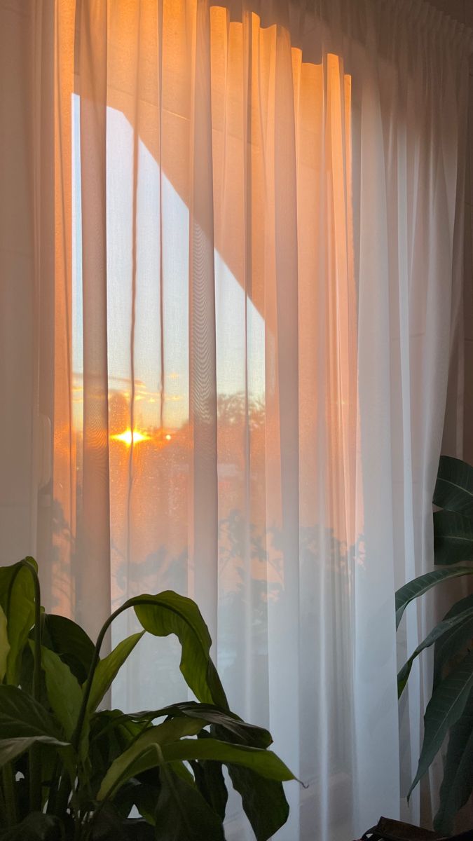 the sun is setting through the sheered curtains in this room with plants and potted plant