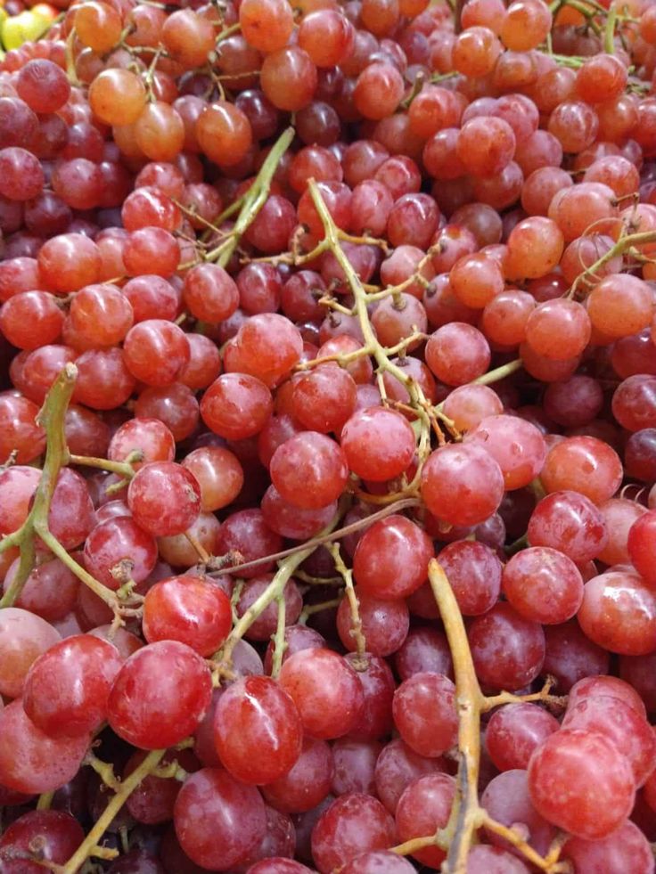 bunches of red grapes sitting on top of each other