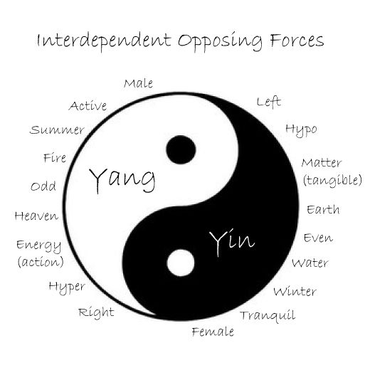 the yin symbol is shown in black and white, with words describing its different meanings