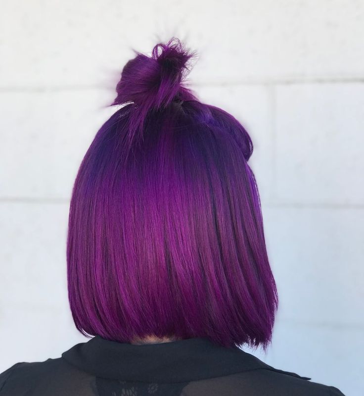 Bright Purple Hair, Dark Purple Hair Color, Violet Hair Colors, Brunette Ombre, Dark Purple Hair, Short Ombre Hair, Vivid Hair Color, Violet Hair, Purple Highlights